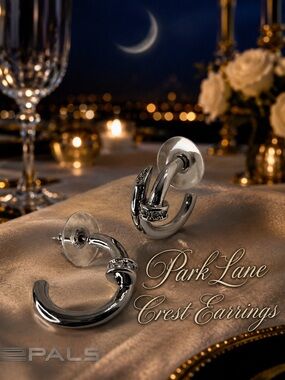 Park Lane Womens Crest Classy Earrings Silver Hoop Rhinestone Designer Inspired